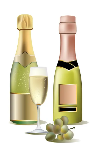 两瓶红酒、 葡萄和玻璃 — 图库矢量图片