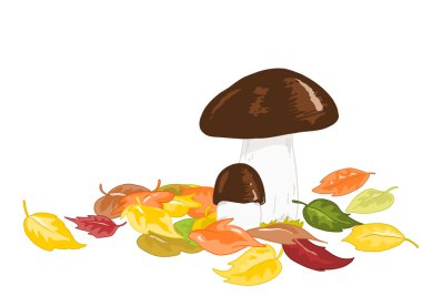 Autumn mushrooms clipart