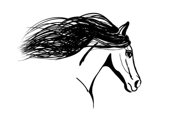 Häst — Stock vektor