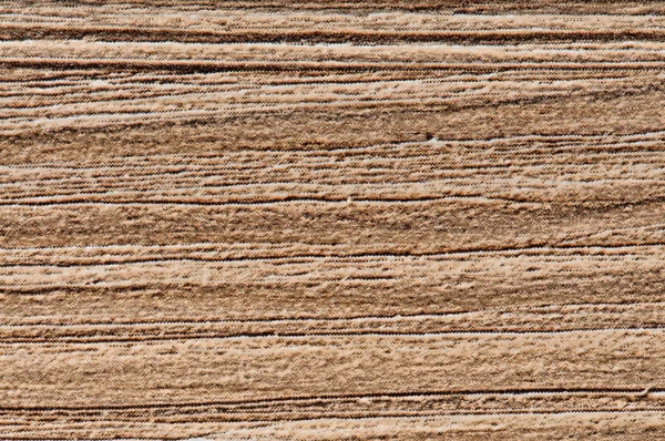 stock image Wood Texture