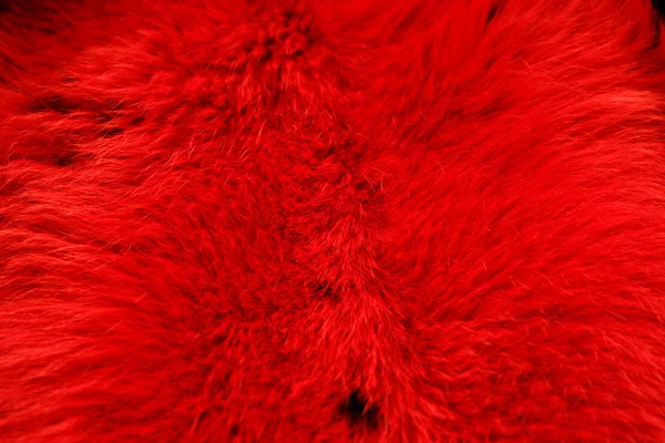 Textura de piel roja — Foto de Stock