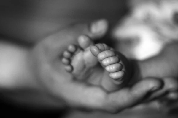 生まれたばかりの赤ちゃんの足 ストック画像