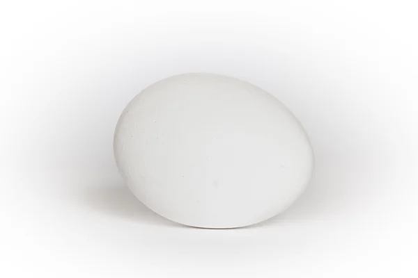 stock image White egg