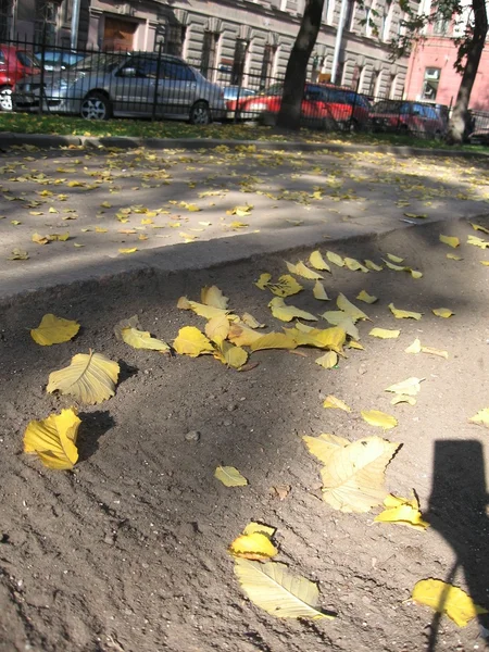 stock image Autumn street