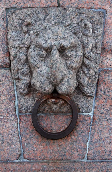 Lion's a head — Stock Photo, Image