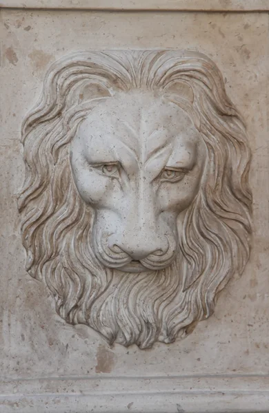 사자의 머리 — 스톡 사진