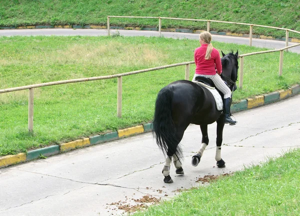 Menina monta um cavalo — Fotografia de Stock