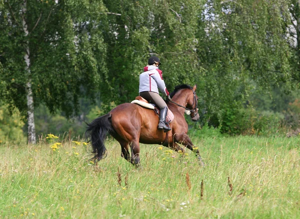Jente rir på hest – stockfoto