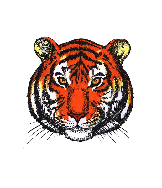 Голова тигра Стоковое Изображение