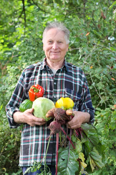 정원에서 오래 된 남자 — 스톡 사진