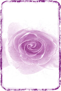 Purple rose in a retro style on a light clipart