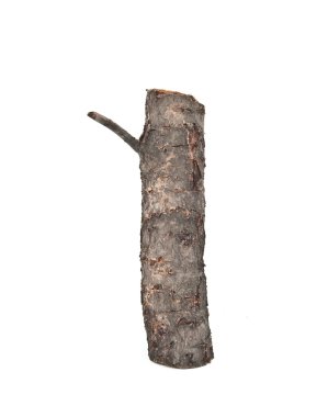 Wooden log with a knot clipart