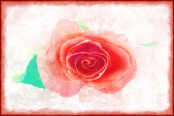 Τριαντάφυλλα σε ρετρό στιλ σε ένα φως — Φωτογραφία Αρχείου