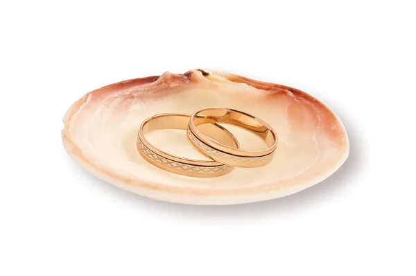 Золотые обручальные кольца в морской скорлупе — стоковое фото