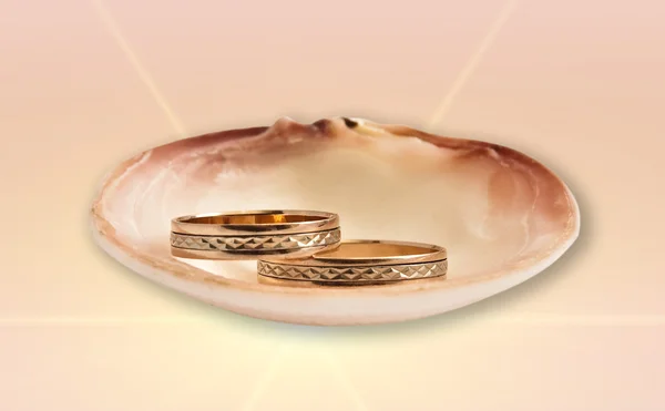Золотые обручальные кольца в морской скорлупе — стоковое фото