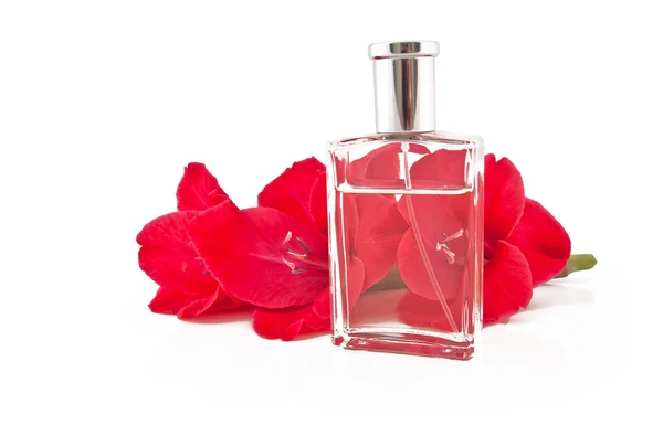 Pobočka krásných květin a láhev w — Stock fotografie
