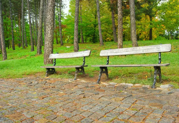Burk leksak - bilar 2雨の秋の公園で 2 つの無料のベンチ — ストック写真