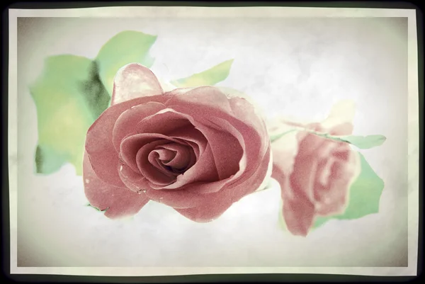 Τριαντάφυλλα σε ρετρό στιλ σε ένα ελαφρύ έκφραση — Φωτογραφία Αρχείου