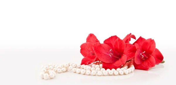 Branch of beautiful flowers and necklace — Stock Photo, Image