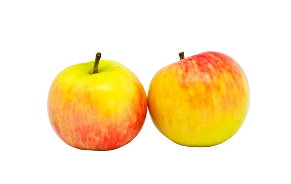 Dos manzanas maduras sobre un fondo blanco —  Fotos de Stock