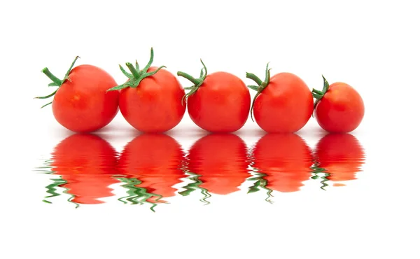 아름 다운 신선한 토마토 — 스톡 사진