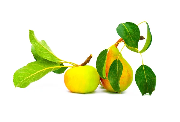 Bela maçã e pêra com folhas — Fotografia de Stock