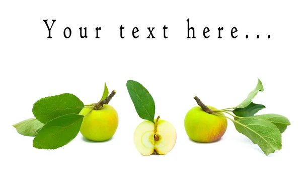 Tre belle mele mature con foglie — Foto Stock