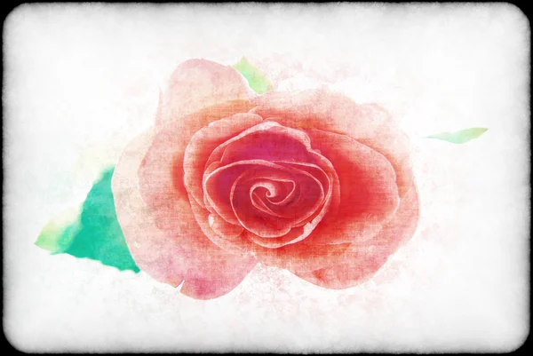 Rosen im Retro-Stil auf einem hellen — Stockfoto