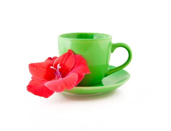 Güzel çay bardağı ile çiçek — Stok fotoğraf