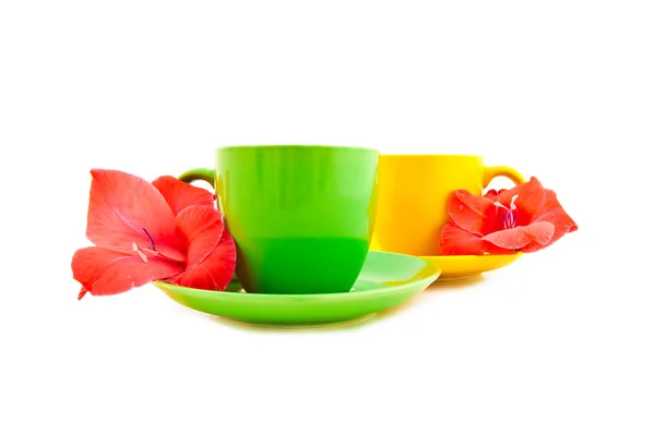 美丽茶杯子与花 — 图库照片