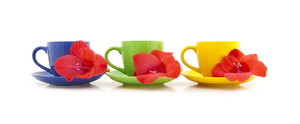 Krásné čajové šálky s květinou — Stock fotografie
