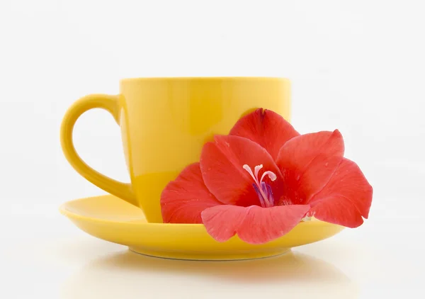 Krásný tea cup s květinou — Stock fotografie