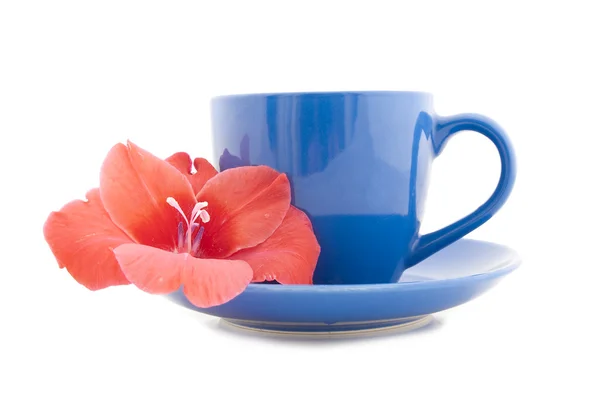 Beautiful tea cup with flower — Stock Photo, Image
