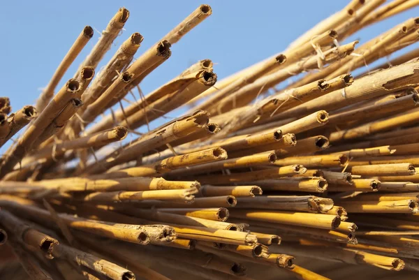 Achtergrond van bamboe — Stockfoto