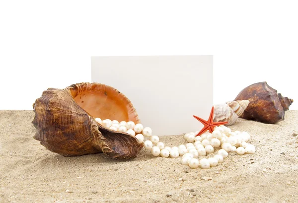 Cockleshell s perlový náhrdelník — Stock fotografie