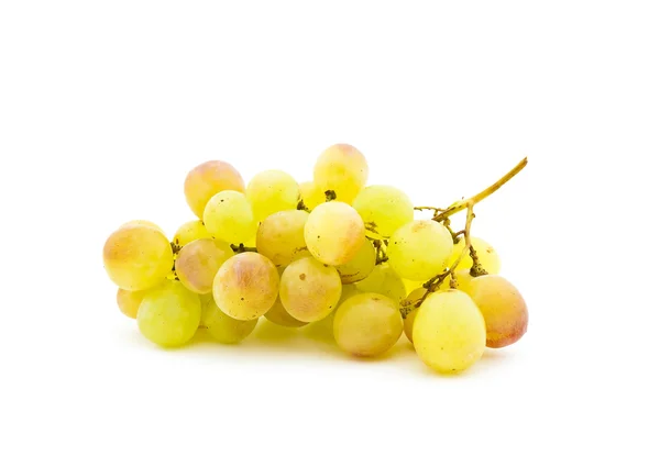 Rijpe sappige cluster van druiven — Stockfoto