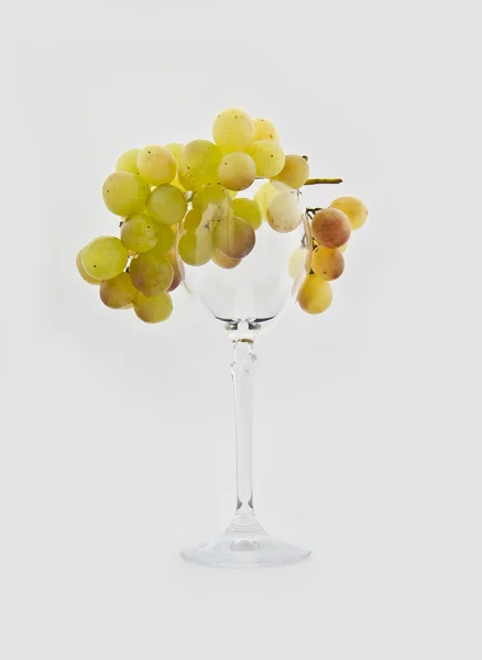 Wine glass with a cluster of ripe muscat — Stock Photo, Image