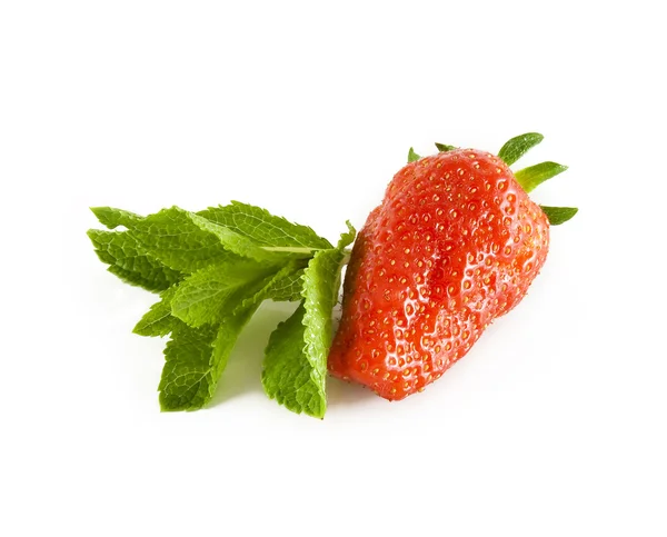Ripe strawberry with a fresh leaf of min — Stock Photo, Image