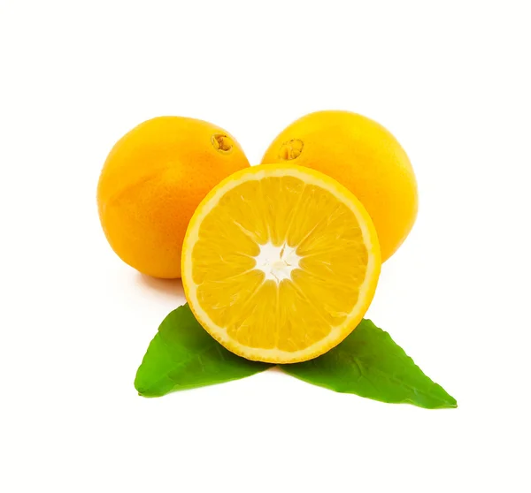 Skupina citrusů na bílém pozadí — Stock fotografie