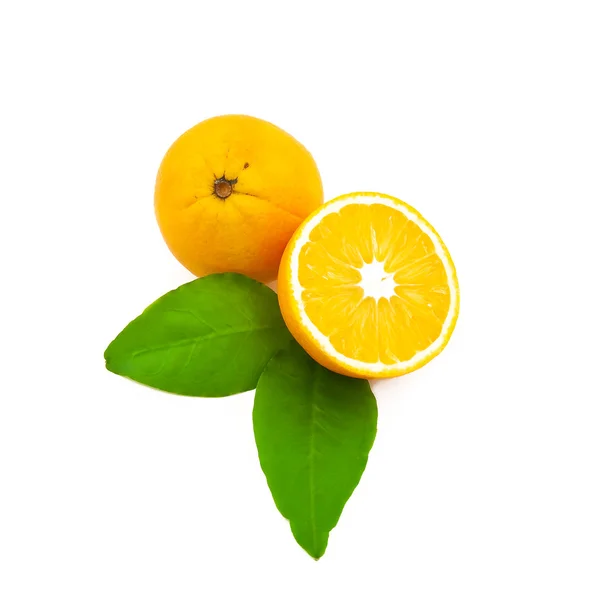 Grupp av citrus på vit bakgrund — Stockfoto