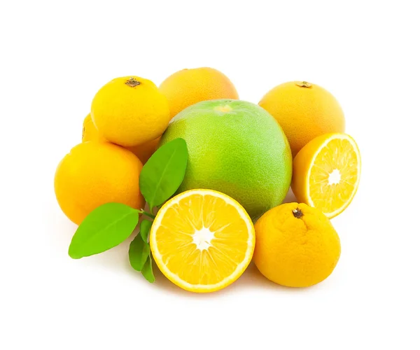 集团的柑橘在白色背景上 — 图库照片