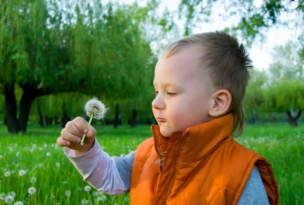 The boy with a dandelion — Stock Photo, Image