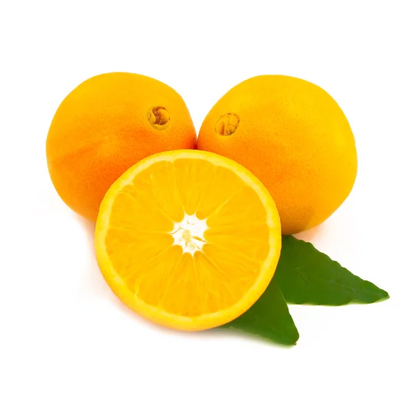 オレンジの葉を持つ — ストック写真