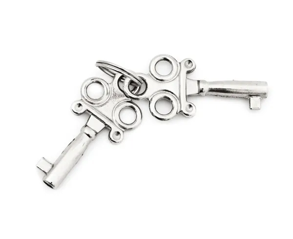 Dva stříbrné klíče — Stock fotografie