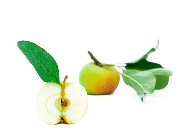 De helft van jonge apple met een groen blad — Stockfoto