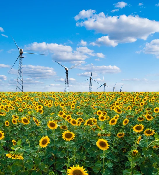 Ayçiçeği ve rüzgar elektrik santrali — Stok fotoğraf