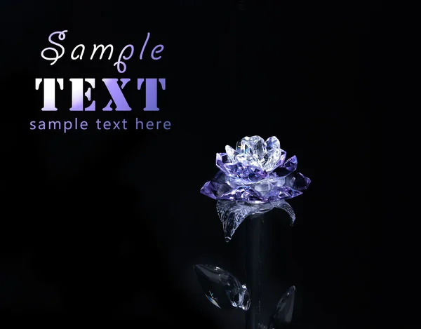 Violette Kristallrose — Stockfoto
