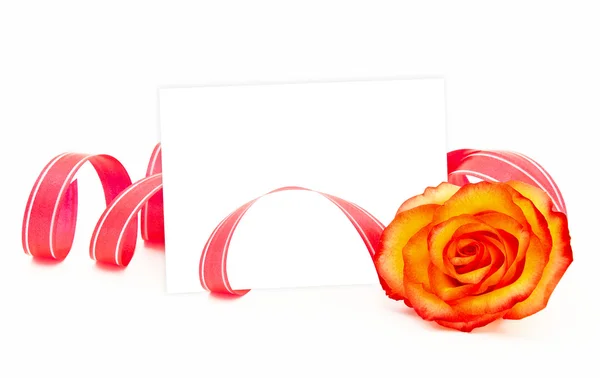 La carta pura con un nastro e un fiore — Foto Stock