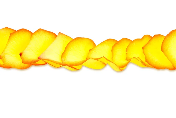 Sarı bir gül yaprakları — Stok fotoğraf