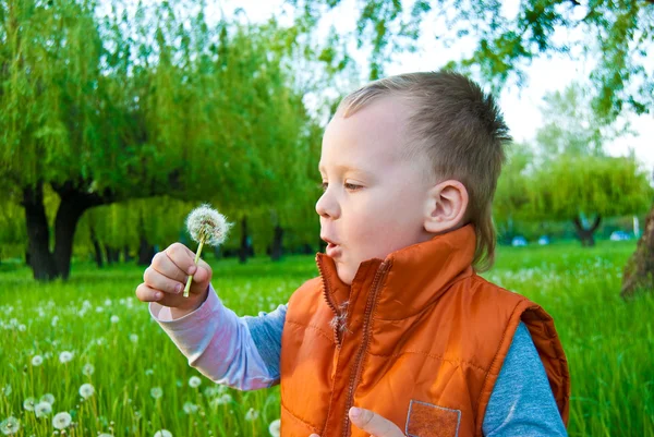 Anak laki-laki dengan dandelion — Stok Foto